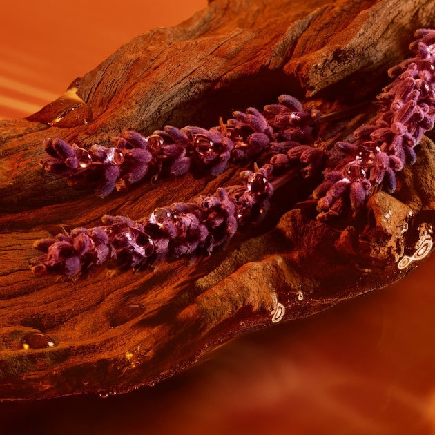 PARFUM EMPORIO ARMANI STÄRKER MIT DIR INTENSIV