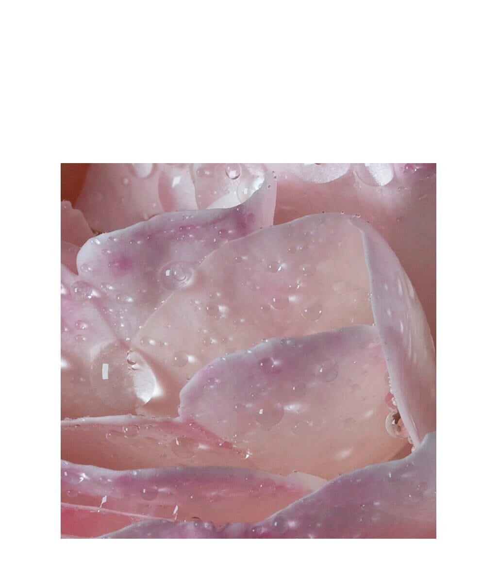 Maison Francis Kurkdjian L’Eau À la Rose Eau de Toilette 70 ml – Light Floral Perfume for Women | Elegant, Fresh & Romantic | Buy Online at VLP.Life