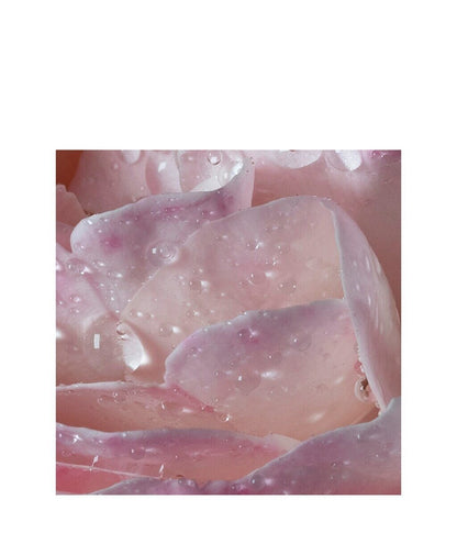 Maison Francis Kurkdjian L’Eau À la Rose Eau de Toilette 70 ml – Light Floral Perfume for Women | Elegant, Fresh & Romantic | Buy Online at VLP.Life