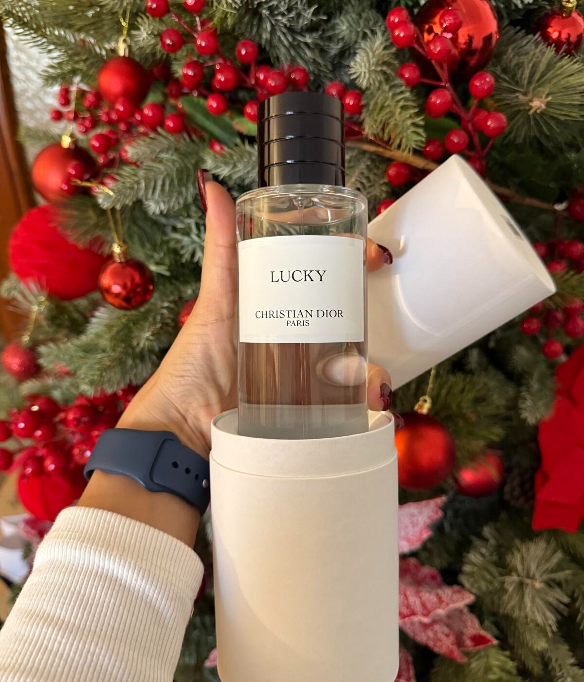 GLÜCKS-WINDKÄMPCHEN - VON DIOR