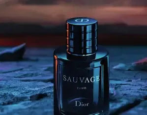 SAUVAGE STROLL BY-DIOR🔥